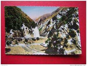 CPSM  ALGERIE  BLIDA  GORGES DE LA CHIFFA   NON VOYAGEE   CARTE EN BON ETAT