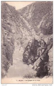 BLIDA les gorges de la Chiffa