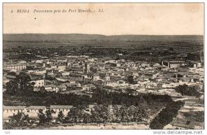 Algérie > BLIDA- Panorama pris du Port Mimich - Editions LL n° 4- *PRIX FIXE