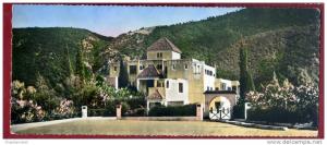 CPSM Panoramique  ALGERIE - BLIDA - Gorges de La Chiffa -  Le Rocher Des Singes  Voir VERSO - ALGERIA AFRICA AFRIQUE