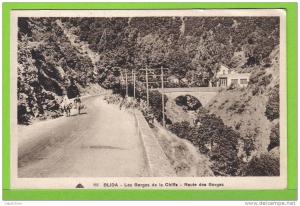 BLIDA - LES GORGES DE LA CHIFFA - LA ROUTE DES GORGES - Carte vierge