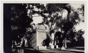 BLIDA  LE BOIS SACRE ET MARABOUT