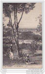 $  BLIDA    VUE ENTRE LES PINS  CPA CIRCULEE