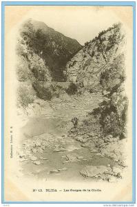 CARTE POSTALE N° 13 BLIDA LES GORGES DE LA CHIFFA . COLLECTION IDEALE P.S.