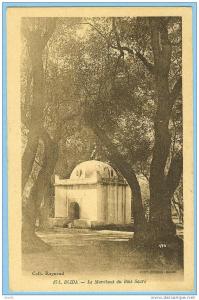 CARTE POSTALE 174 BLIDA LE MARABOUT DU BOIS SACRE . COLLE REYBAUD . PHOT COMBIER MACON
