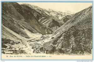 CARTE POSTALE 34 ENV DE BLIDA VALLEE DE L'OUED EL KEBIR . LL . GALERIE DE FRANCE BLIDA . LEVY FILS ET Cie PARIS