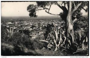 BLIDA - vue générale