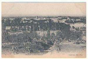 55 - BLIDA  - Vue Générale   Collection ND