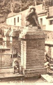 CPA - Blida - Gorges de la Chiffa - Hôtel du Ruisseau des Singes