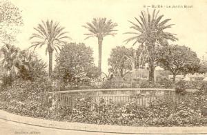 CPA - Blida - Jardin Bizot