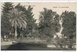 Algérie - Blida Jardin Bizot n 3 Ed Mme Pradal Voyagée 1909