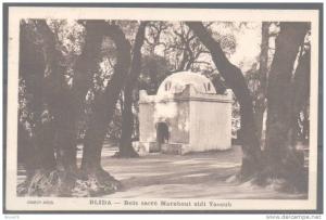 BLIDA - Bois sacré Marabout sidi Yacoub