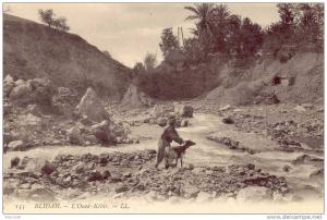 CPA - Blida - L'oued Kébir