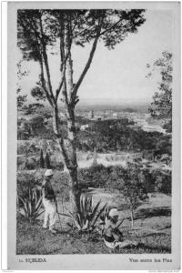 ALGERIE BLIDA VUE ENTRE LES PINS