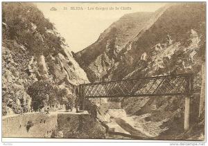 Algerie - BLIDA les gorges de la chiffa N° 54