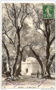 ** BLIDA - Le bois sacré **