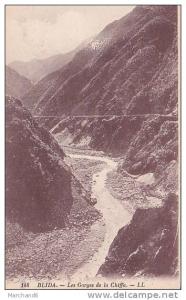 ALGERIE.BLIDA.GORGES DE LA CHIFFA