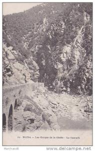 ALGERIE.BLIDA.GORGES DE LA CHIFFA RUISSEAU DES SINGES