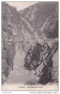 ALGERIE.BLIDA.GORGES DE LA CHIFFA