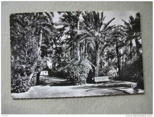BISKRA JARDIN LANDON