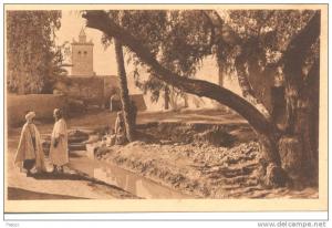 BISKRA - Mosquée Bab-el-Darb