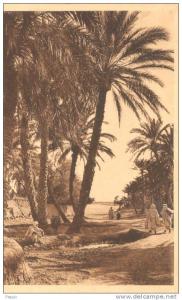 BISKRA - Oasis de M´Cid