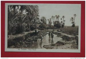 cpa Biskra Dans l'Oasis