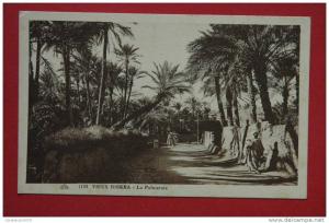 cpa Vieux Biskra La Palmeraie