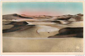 Afrique -ALGERIE -  BISKRA - La mer de sable  (-- Editions  Réal Photo -C-A-P n° 168)* PRIX FIXE