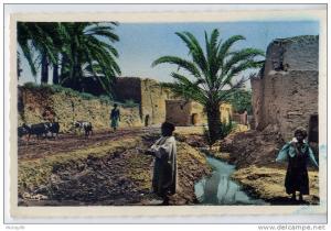 Collection  L´Afrique --Au Vieux Biskra (animée,enfants ,cpsm pt format n° 796 éd Combier-