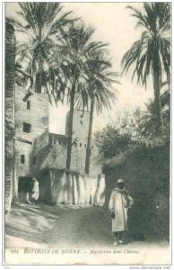 environ de Biskra - habitation dans chelma  Od146