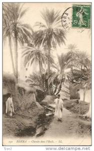 BISKRA - Chemin dans l'Oasis animation CPA LL