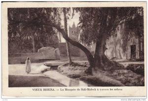 cpa BISKRA (Algérie) - La Mosquée de Sidi-Maleck à travers les arbres