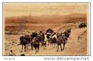 BISKRA  LA CARAVANE AU COL DE SFA CARTE AYANT CIRCULEE