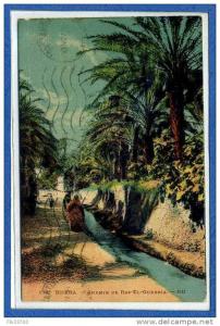 67 173 biskra  chemin de ras el guerria