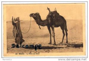 ALGERIE Biskra- La prière au désert  Musulman et chameau TBE