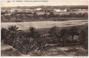 Algérie - BISKRA - route des Zibans et Palmeraie  PRIX FIXE  - Editions C-A-P n° 63 - voir description -