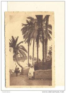 D 590  BISKRA  UNE RUE DE BAB D ARB