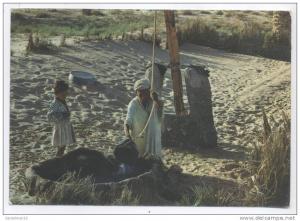 Cartes Postales Scénes of Biskra