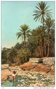 Afrique > Algérie ( Biskra ) EL KANTARA dans la riviére Scènes et Types d'Afrique du Nord- Editions Sirecky *PRIX FIXE