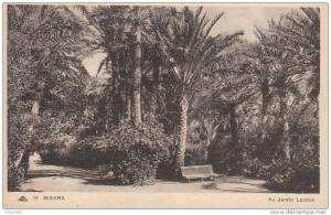 ALGERIE  -  BISKRA - le Jardin Landon - (carte ,&b)