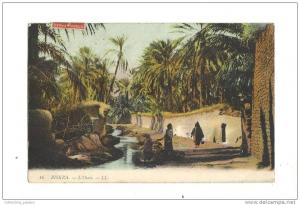 cp, Algérie, Biskra, L'Oasis, voyagée 1907