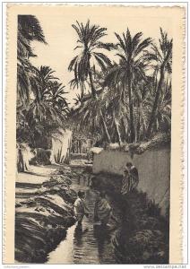cp , ALGERIE , BISKRA , dans l'oasis , animée