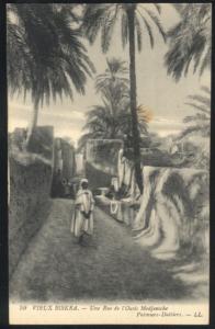 Vieux Biskra - Une Rue de L´Oasis Medjeniche - Palmiers-Dattiers