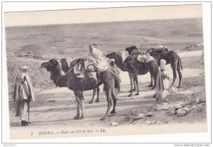 Prix fixe - Biskra - Halte au Col de Sfa - animée - Chameaux # 10-10/22