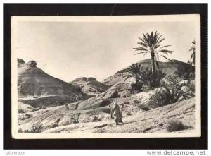 Biskra. a1. L´Aurès - Environ de Biskra; Oasis de M´Chounèche. paysage d´Erosion de M´Chounèche.