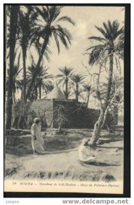 (6201) - Biskra - Marabout de Sidi-Brahim - Oasis de Palmiers-datiers