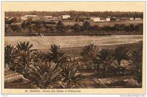 Cpa  *  ALGERIE  *  BISKRA  *  Route des Ziban et Palmeraie  *
