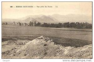 CPA - BISKRA BENI MORA - VUE PRISE DU FORTIN - Edition L.L. / N° 106
