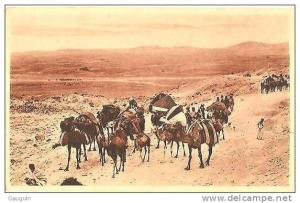 CPA - BISKRA - CARAVANE AU COL DE SFA - Edition Marius Maure